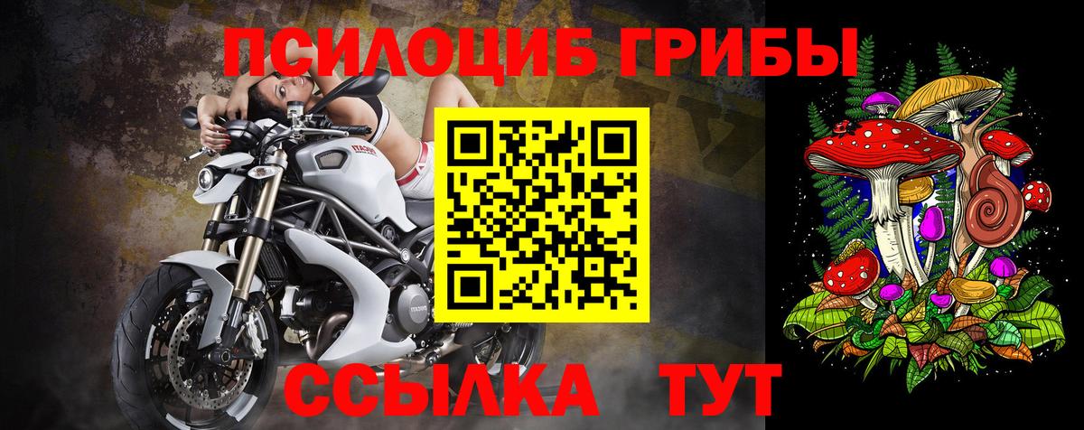 Галлюциногенные грибы мицелий  Псилоцибиновые грибы MAGIC MUSHROOMS  Еманжелинск  купить наркотики сайты  Вход с VPN 