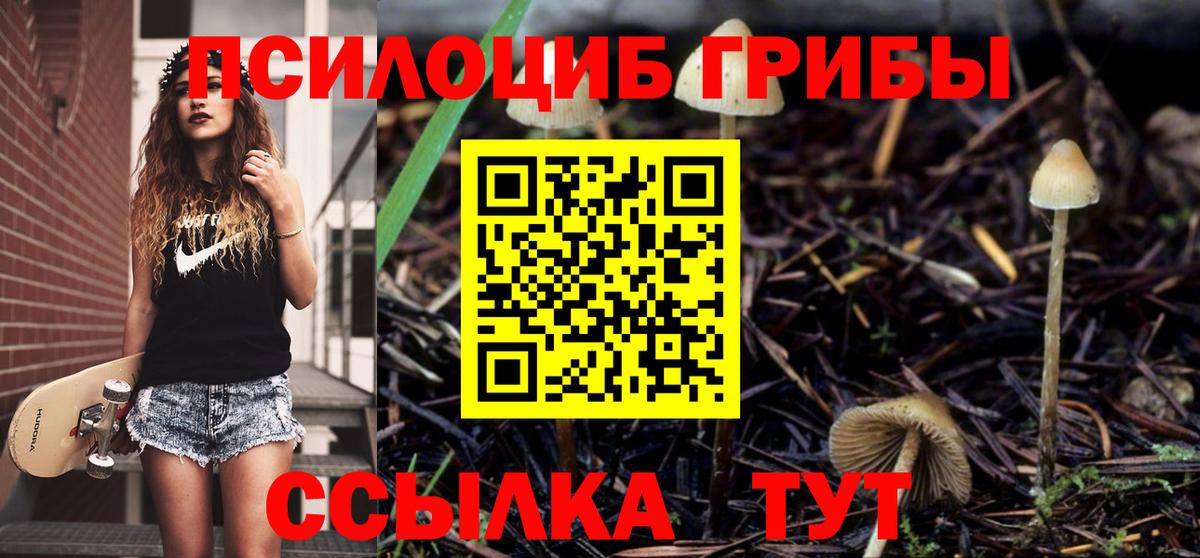 Галлюциногенные грибы Psilocybe Еманжелинск